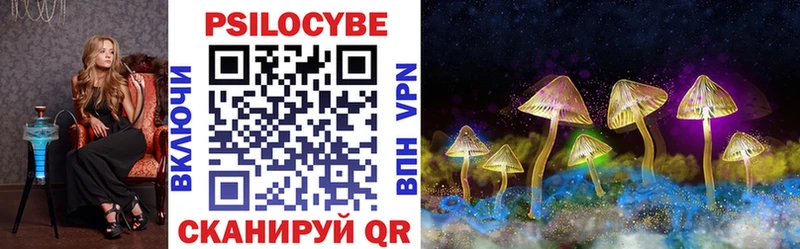 Псилоцибиновые грибы мицелий  Купить  Бабушкин 